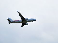-空港花田景区