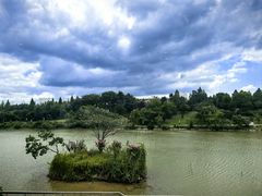 -仙林宾馆-餐厅