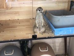 -平行世界·猫咖(首经贸店)