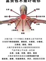 点击看大图 -香薇妮丝女子减肥院