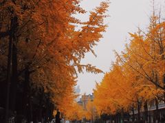 -四川博物院