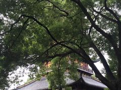 -常熟方塔园