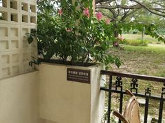 -三亚珠江南田温泉度假区