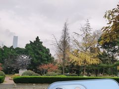 -八大关景区