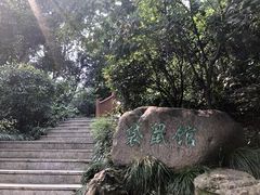 -杭州动物园