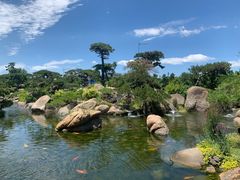 -罗红摄影艺术馆