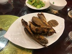 -北京小肠陈饭庄(方庄店)