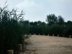 -绿堤公园