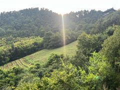 -敬亭山风景名胜区