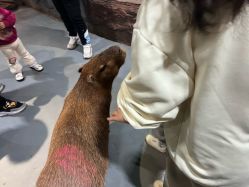 -Zoolung Zoolung动物主题公园(海信广场店)