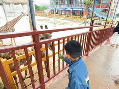 -西霞口神雕山野生动物世界