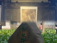 -绍兴鲁迅故里·沈园景区