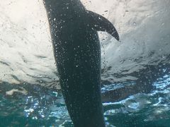 -波塞冬旅游度假区