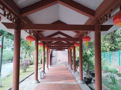 -广州神农草堂中医药博物馆