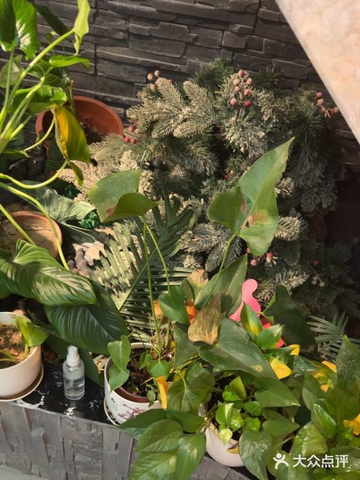 泰古龙抓龙筋·spa按摩(静安店)图片