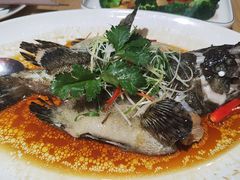 -德胜轩正宗顺德菜(宝安沙井会展中心店)