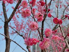 -西北湖绿化广场