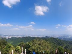 -阳台山森林公园