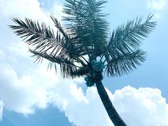 -上海玛雅海滩水公园