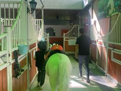 -名驭国际马术学院