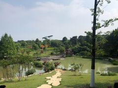 -铁山坪森林公园