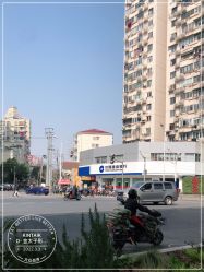 -金太子形象设计