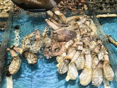-紫阳海鲜楼·传承闽味(长乐路总店)