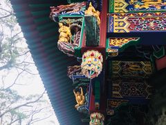 -宝莲禅寺