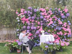 -HERRE·FARM 赫尔露营农场·团建聚会包场