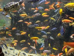 -太平洋海底世界