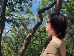 -北京十三陵国家森林公园蟒山景区