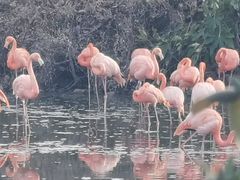 -合肥野生动物园