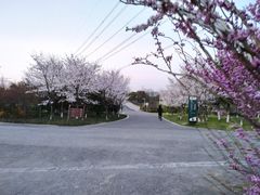 -九里河湿地公园