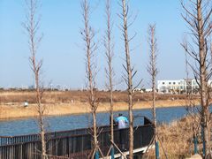 -春花秋色城市公园