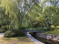 -望湖公园