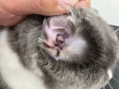 -comecome来吧宠物(奥克斯中心店)