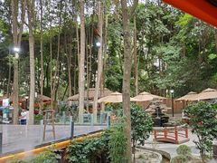 -二荆条·蜀鲜汇城市森林火锅