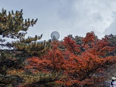 -黄山风景区