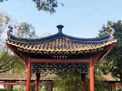 -顺峰山公园