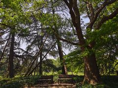 -西湖外事游船(花港观鱼码头)