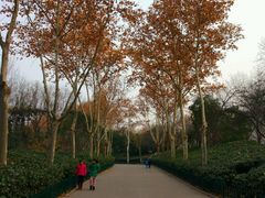 -西安市长乐公园