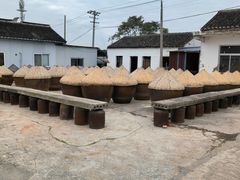 -苏州市吴中区光福窑上花果蜜饯厂