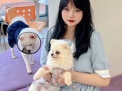 -怪兽屋·羊驼·猫咖·狗咖(俊华广场店)