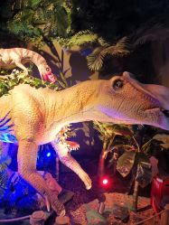 -恐龙探索乐园(磁器口店)