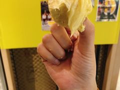 -都念榴莲·城市榴莲