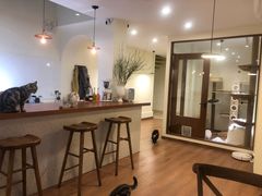 -有猫主题·治愈系猫咖(曾厝垵店)
