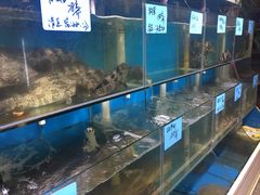 水产区-鑫悦楼煎蟹·16年海鲜大排档