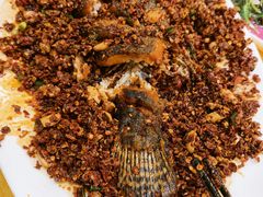 -胖大姐黄辣丁鱼庄(新津店)