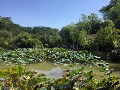 -西院1号(龙井店)