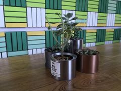-Green Option(官舍店)